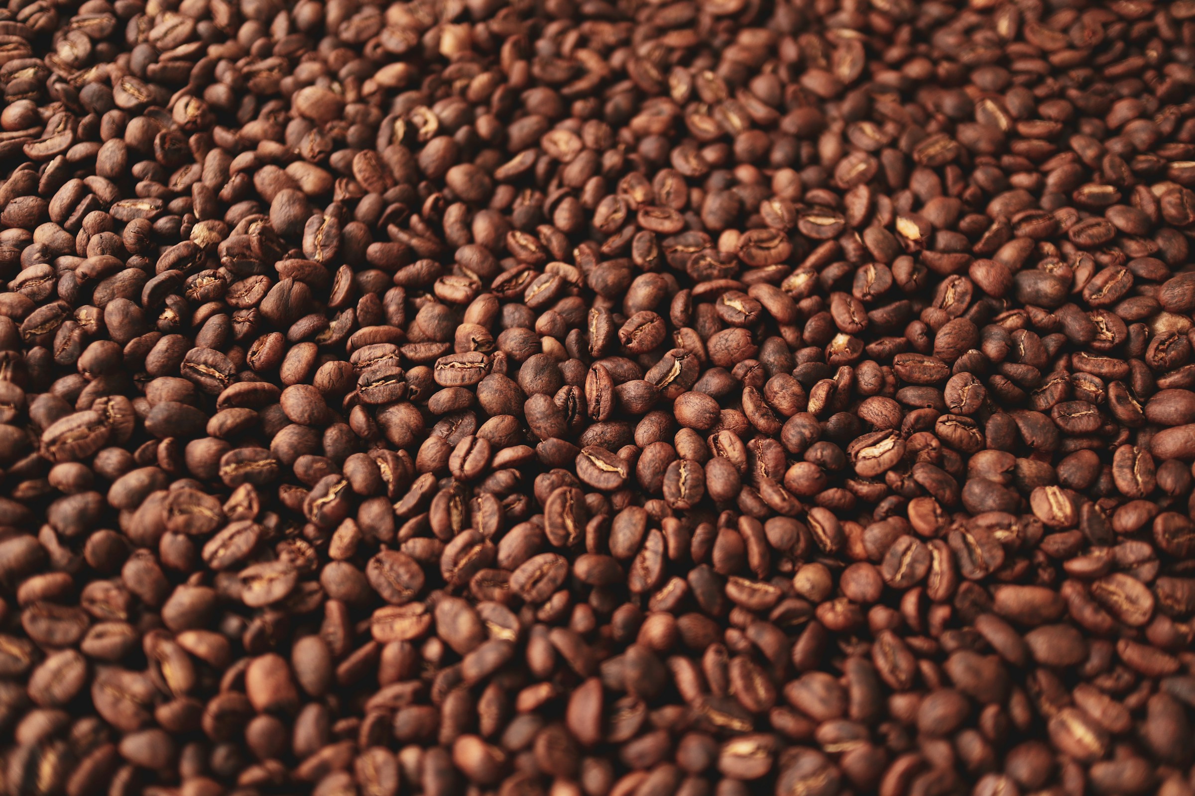 Roasted Coffee Beans
